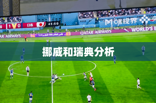 挪威和瑞典分析 挪威和瑞典分析