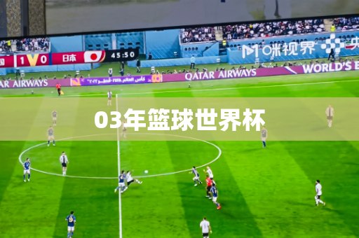 03年篮球世界杯 03年篮球世界杯