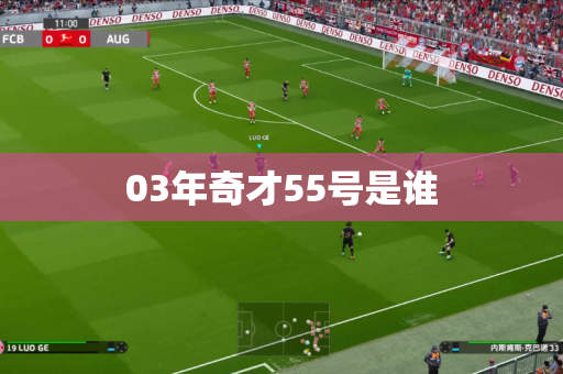 03年奇才55号是谁 03年奇才55号是谁