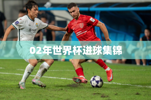 02年世界杯进球集锦 02年世界杯进球集锦
