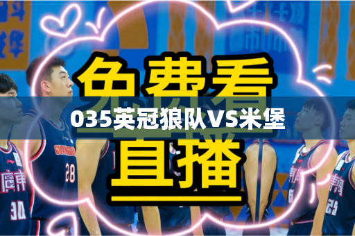 035英冠狼队VS米堡 035英冠狼队VS米堡