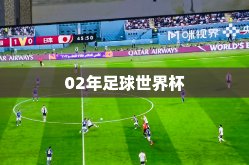 02年足球世界杯 02年足球世界杯