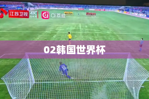 02韩国世界杯