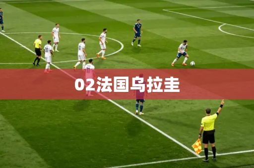 02法国乌拉圭