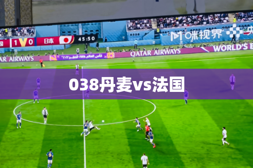 038丹麦vs法国 038丹麦vs法国