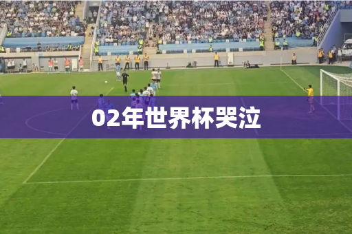 02年世界杯哭泣 02年世界杯哭泣