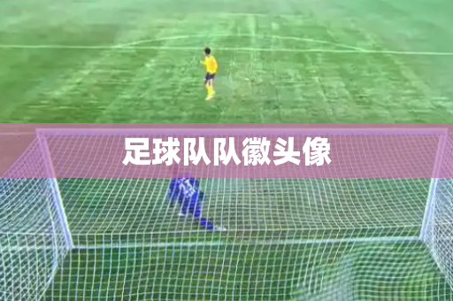足球队队徽头像 足球队队徽头像