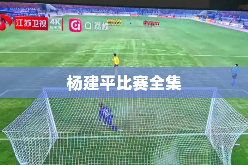 杨建平比赛全集 杨建平比赛全集