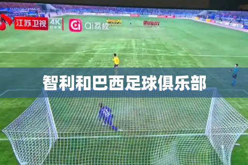 智利和巴西足球俱乐部 智利和巴西足球俱乐部