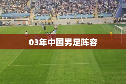 03年中国男足阵容 03年中国男足阵容