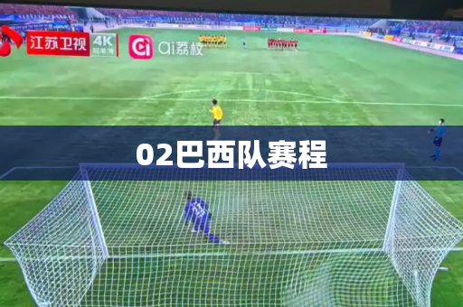 02巴西队赛程 02巴西队赛程