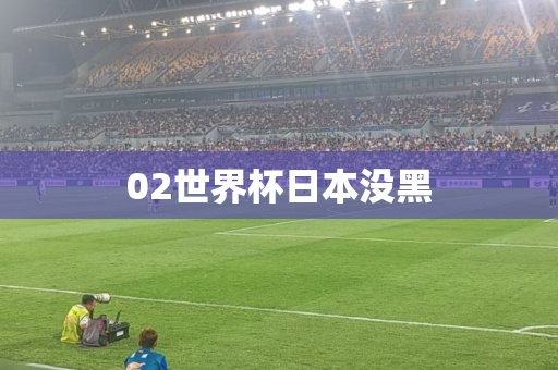 02世界杯日本没黑