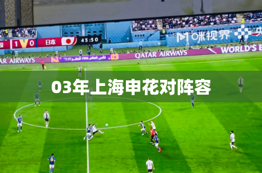 03年上海申花对阵容