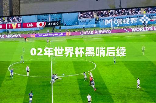 02年世界杯黑哨后续