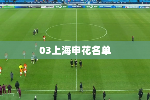 03上海申花名单