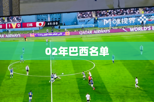02年巴西名单