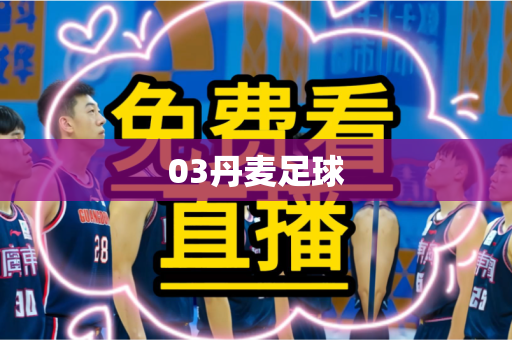 03丹麦足球