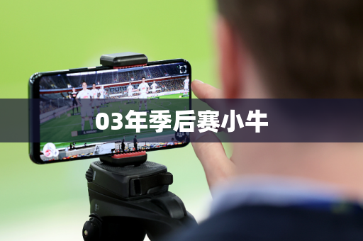 03年季后赛小牛 03年季后赛小牛