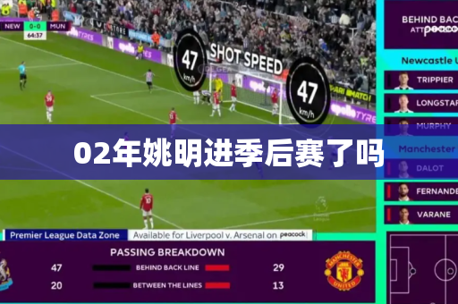 02年姚明进季后赛了吗 02年姚明进季后赛了吗