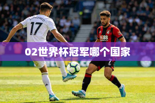 02世界杯冠军哪个国家