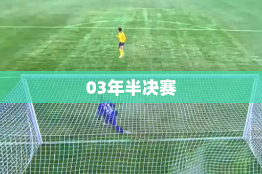 03年半决赛 03年半决赛