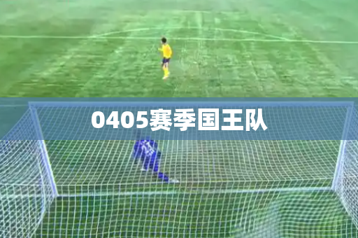 0405赛季国王队 0405赛季国王队