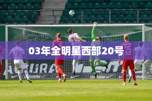 03年全明星西部20号