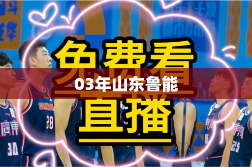 03年山东鲁能 03年山东鲁能
