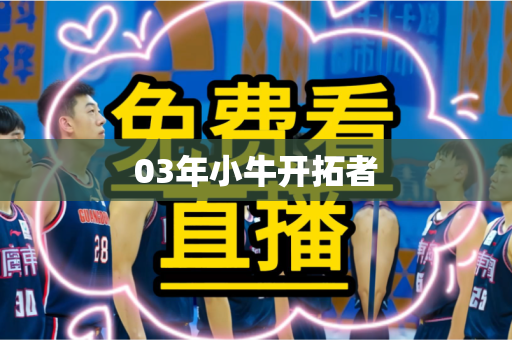03年小牛开拓者