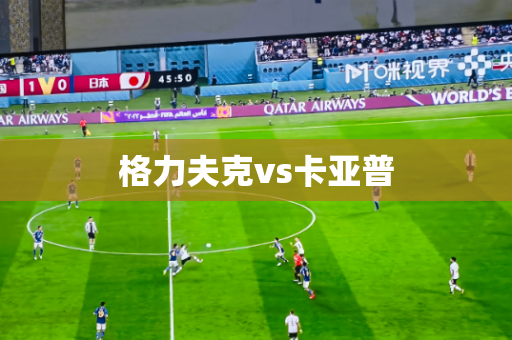 格力夫克vs卡亚普 格力夫克vs卡亚普