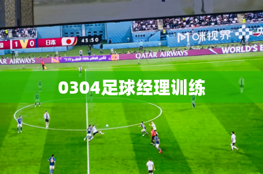 0304足球经理训练 0304足球经理训练