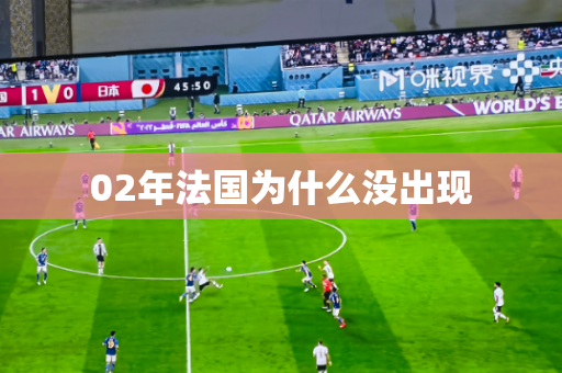 02年法国为什么没出现