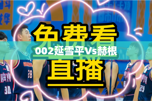 002延雪平Vs赫根