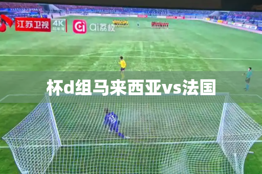 杯d组马来西亚vs法国