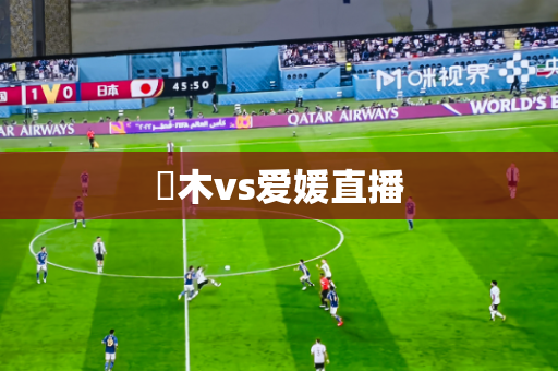 栃木vs爱媛直播