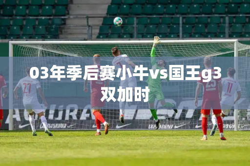 03年季后赛小牛vs国王g3双加时
