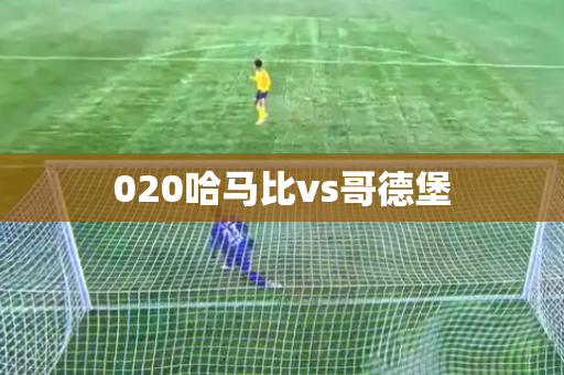 020哈马比vs哥德堡