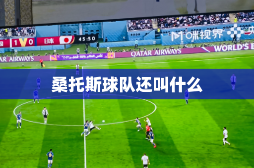 桑托斯球队还叫什么