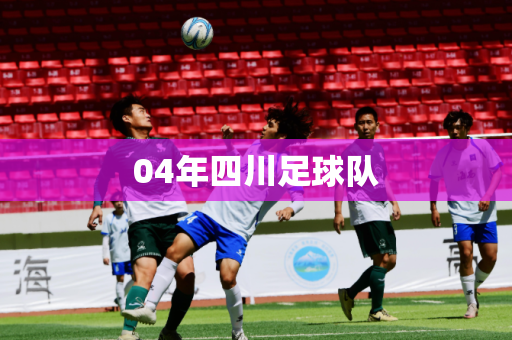 04年四川足球队