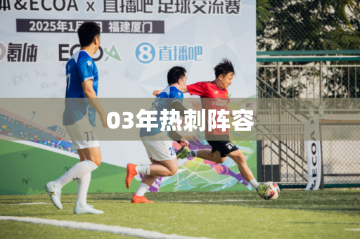 03年热刺阵容