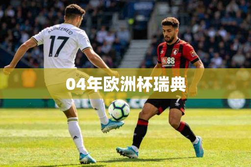04年欧洲杯瑞典 04年欧洲杯瑞典