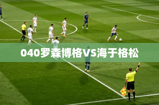 040罗森博格VS海于格松