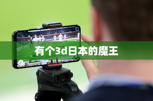 有个3d日本的魔王