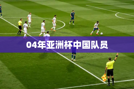 04年亚洲杯中国队员 04年亚洲杯中国队员