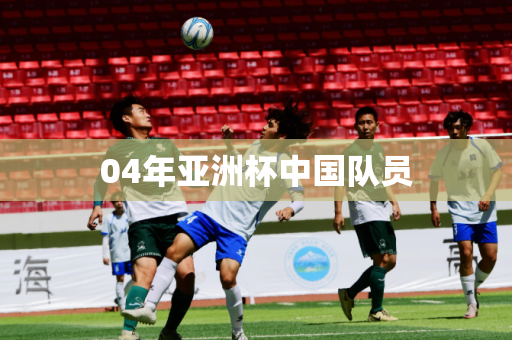 04年亚洲杯中国队员 04年亚洲杯中国队员