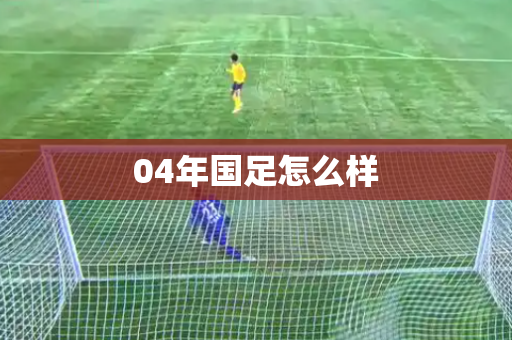 04年国足怎么样