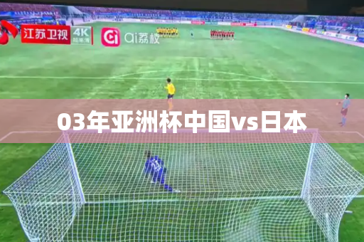 03年亚洲杯中国vs日本