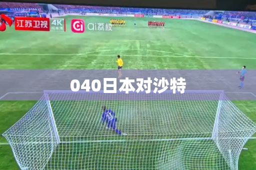 040日本对沙特 040日本对沙特