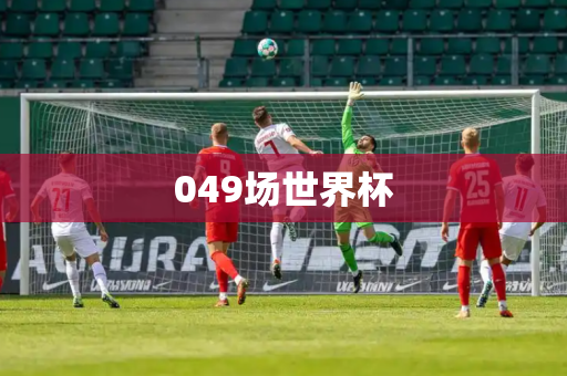 049场世界杯