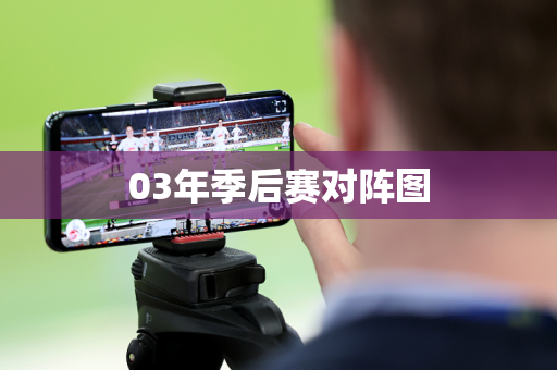 03年季后赛对阵图